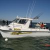 New Boat warranty moorings